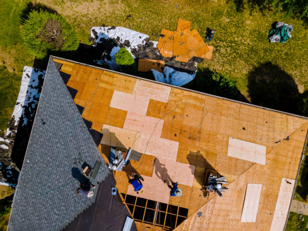 Best Storm Damage Roof Repair  in Adairsville, GA